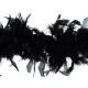 Black Feather Boa (TD0076)