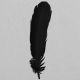Black Indian Feathers