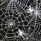 Black/Silver Spiders Web Fabric Close