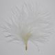 Cream Small Marabou Feather