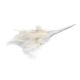 Ivory Diamante Feathers (BB1697)