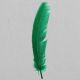 Green Indian Feathers
