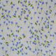 Ivory/Lavender Floral Cotton Poplin Fabric (CP0835)