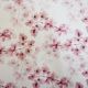 Ivory/Pink Floral Digital Canvas Fabric (JLC0476)