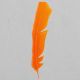 Orange Indian Feathers