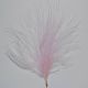 Pale Pink Small Marabou Feather