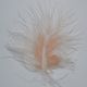 Peach Small Marabou Feather