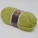 Pistachio Special Chunky Wool (1822)