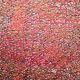 Red/Brick Digitally Printed Cotton Sateen Fabric (9259)