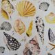 Shells/White Canvas Fabric JLC0435